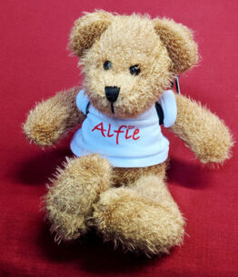 Embrace mascot Alfie Bear
