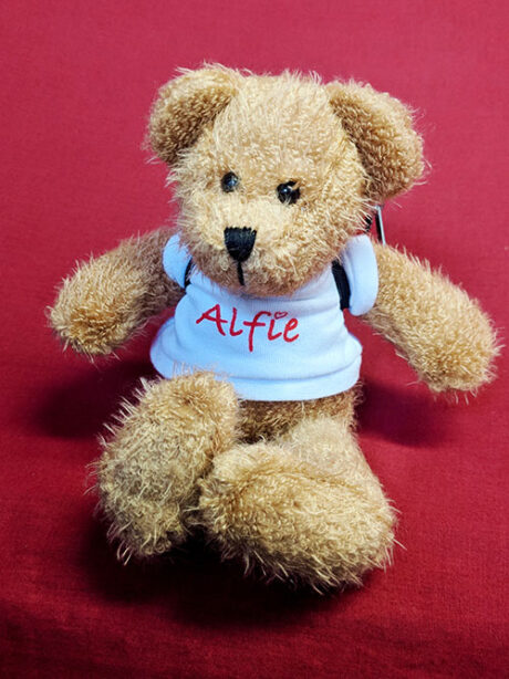 Embrace mascot Alfie Bear